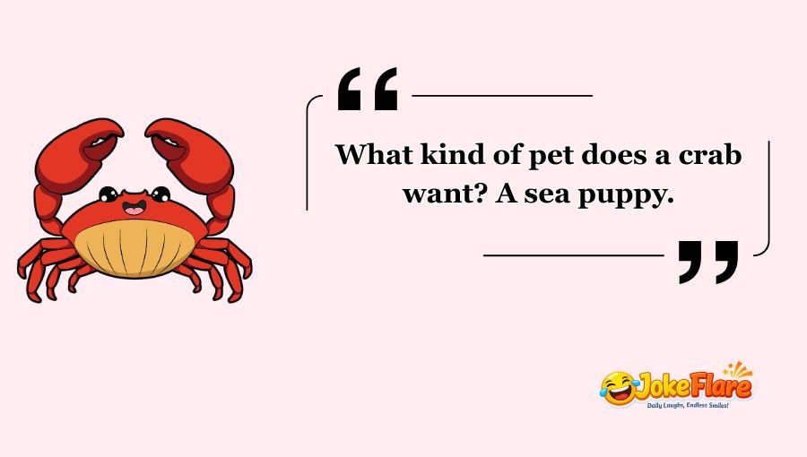Crab Jokes
